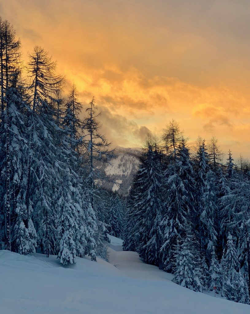 Schneebedeckter Wald mit gelbem Himmel